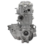 2006-2010 Polaris Sportsman 500 Engine