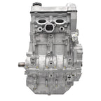 2015-2020 Polaris RZR 900 Engine