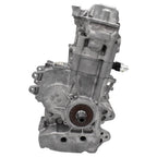 2017-2019 Polaris Sportsman ACE 500 Engine
