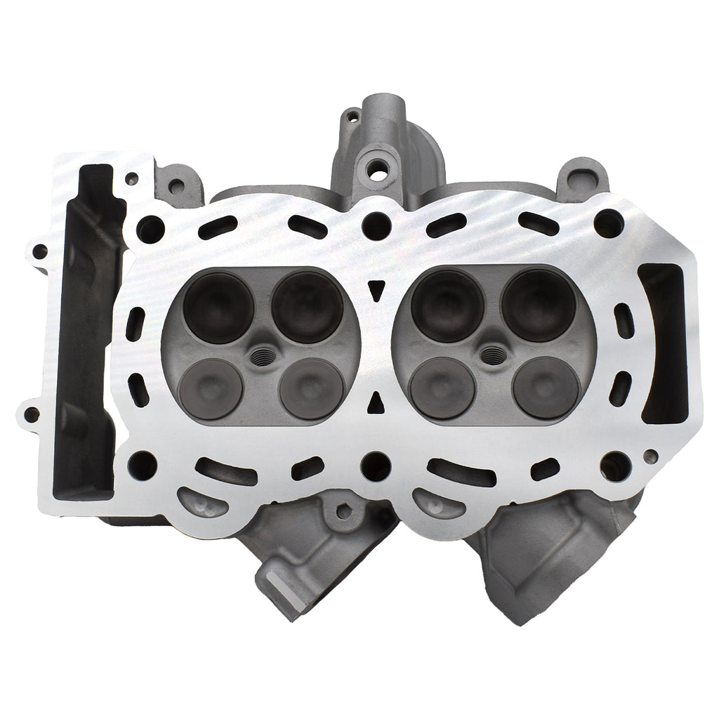 Polaris Cylinder Head Assembly 3022341