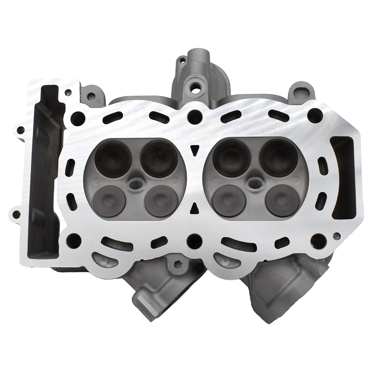 Polaris Cylinder Head Assembly 3022341