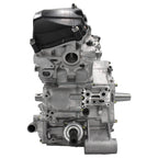 2020-2024 Can-Am Defender HD10 Engine