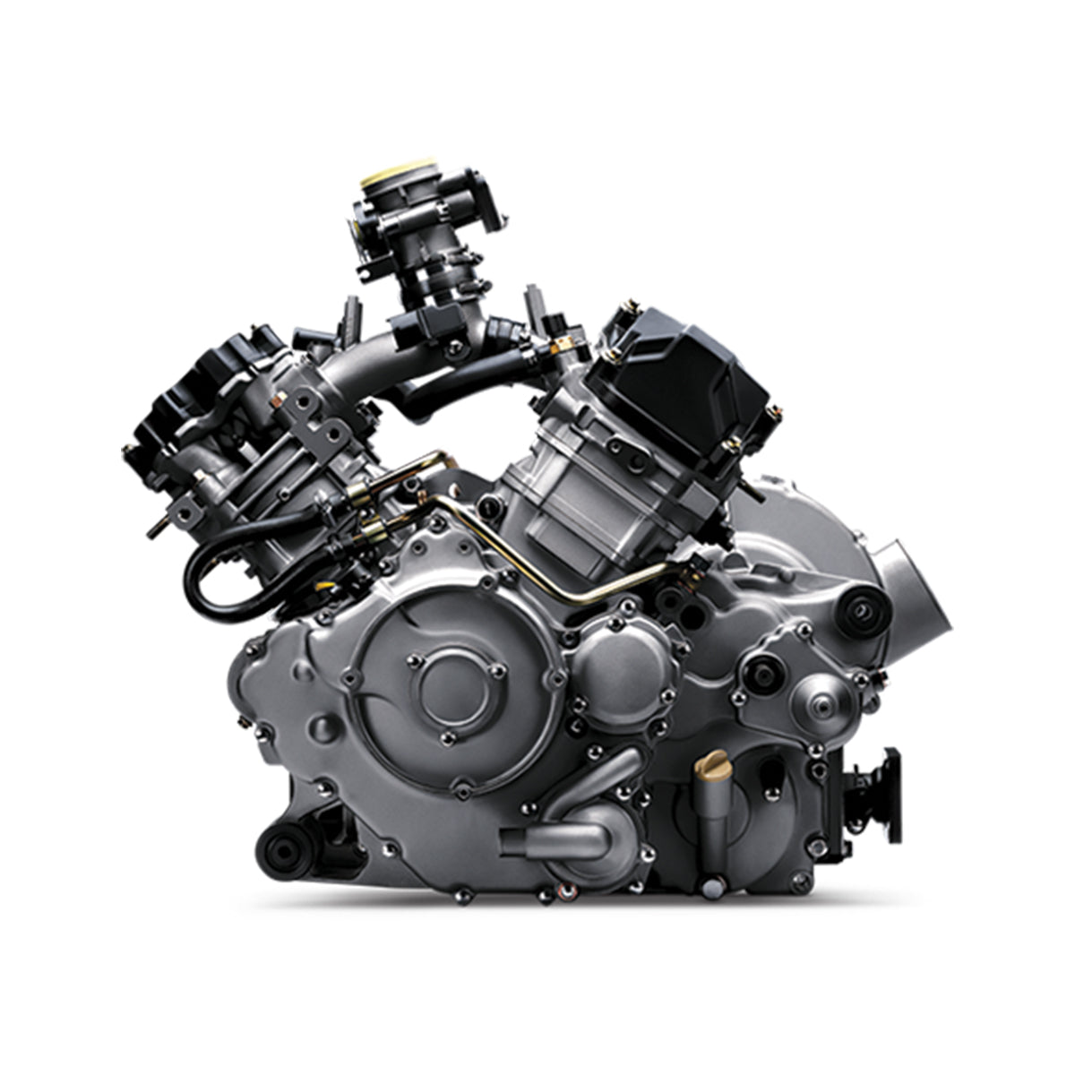 2015-2024 CFMOTO CFORCE 800 Engine