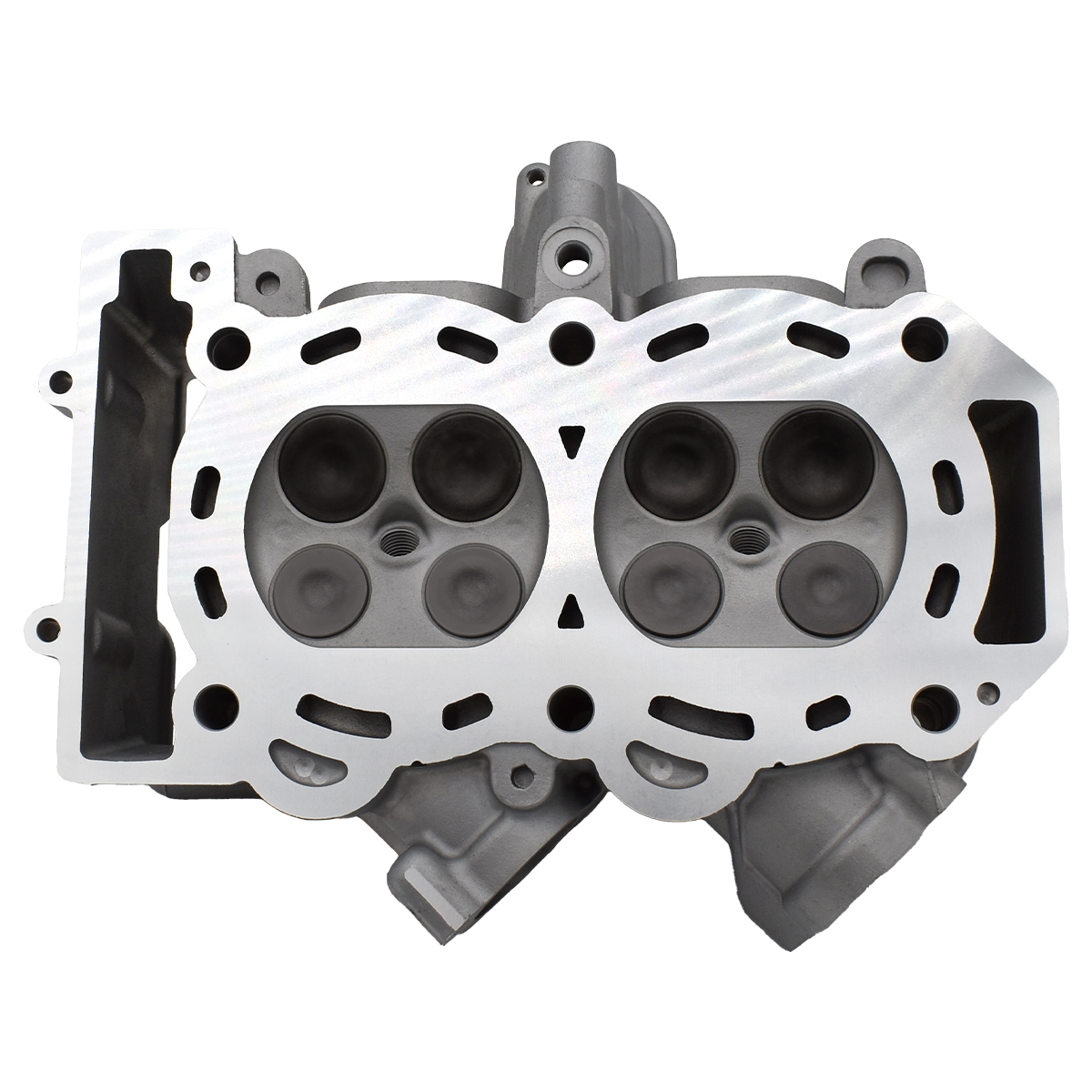 Polaris Cylinder Head Assembly, Part 3022341 | nFLOW