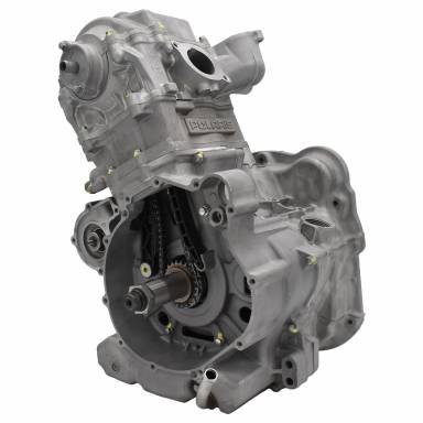 2010-2014 Polaris Sportsman 550 Engine